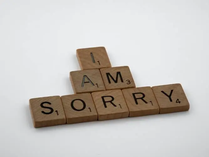 Apology letter for misunderstanding
