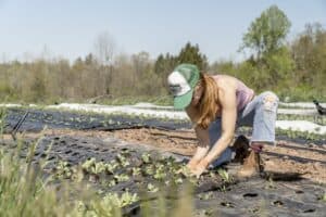 Agronomist-Job Description, Duties, and Salary