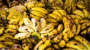 Banana-republic-Job-opportunities-Salary-Age-Application-Process-Benefits