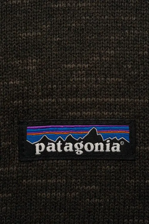 Patagonia Mission, Vision Statement & Values Analysis How I Got The Job