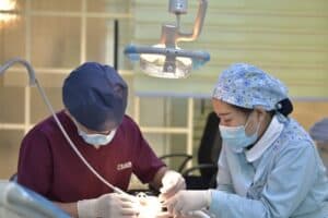Dental Assistant Job Description, Salary, Duties