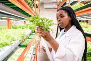 Is Food Science A Good Career?