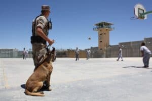 Correctional Officer Job Description, Salary, Duties