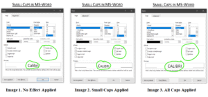Small Caps Effect In MS-Word: What is it? How To Use It?