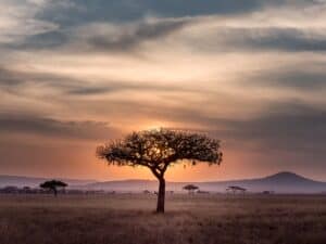Book for Africa Complete Guide