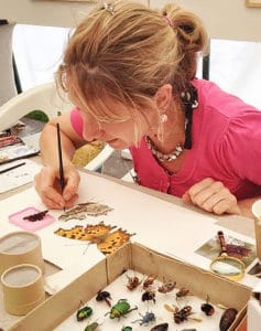 Lizzie Harper – Freelance Natural History & Botanical illustrator