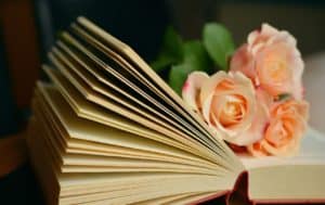 Must-Read Books to Become a Writer