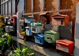 Postal Services Cover Letter