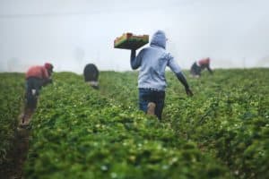 Farming As A Career