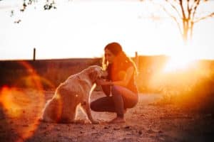Kennel Assistant Job Description, Duties, Salary