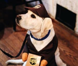 Who Owns UPS