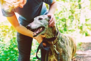 7w6 Enneagram Personality and Best Jobs for Them