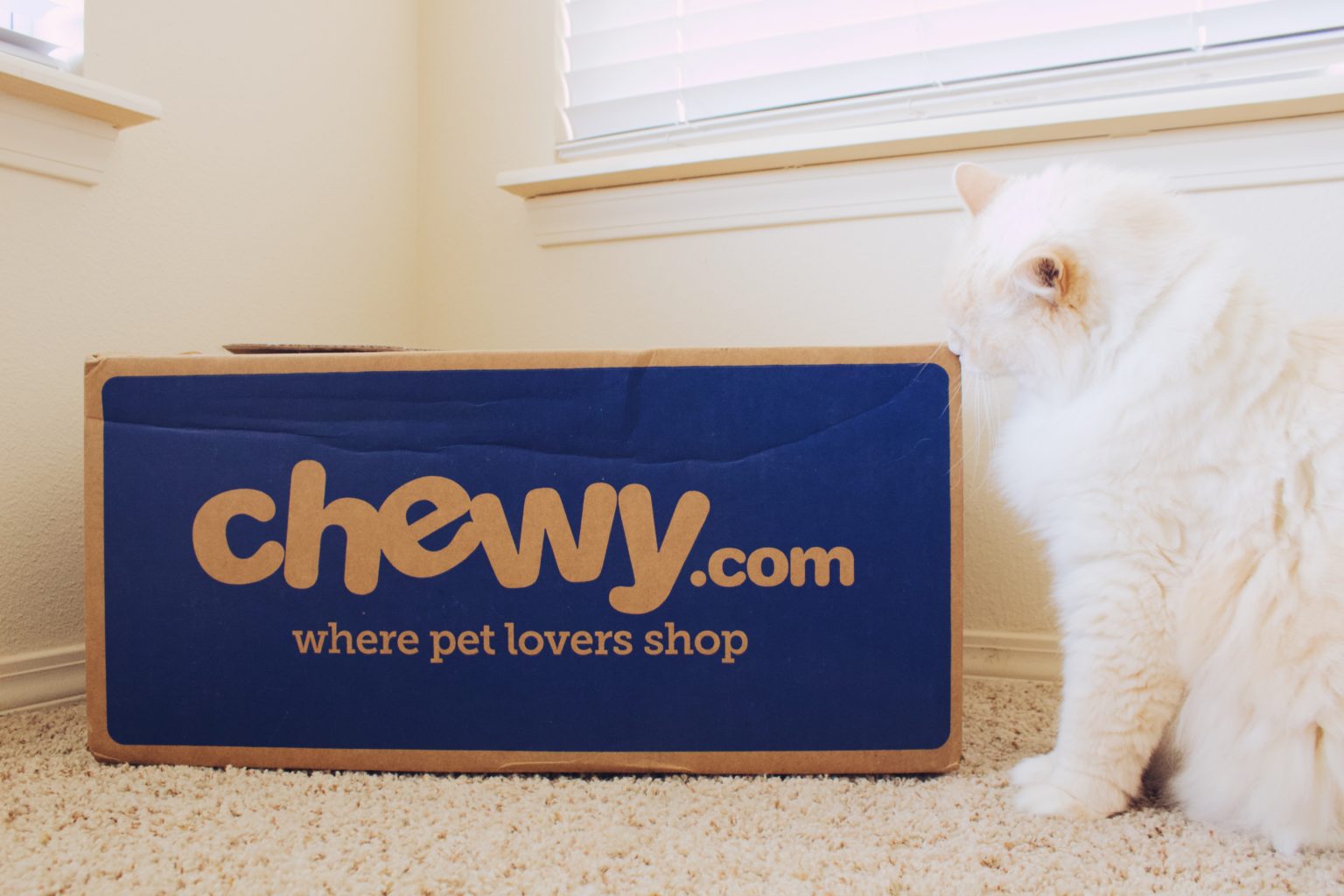 Does Chewy Pay Weekly? - Know More About It - How I Got The Job