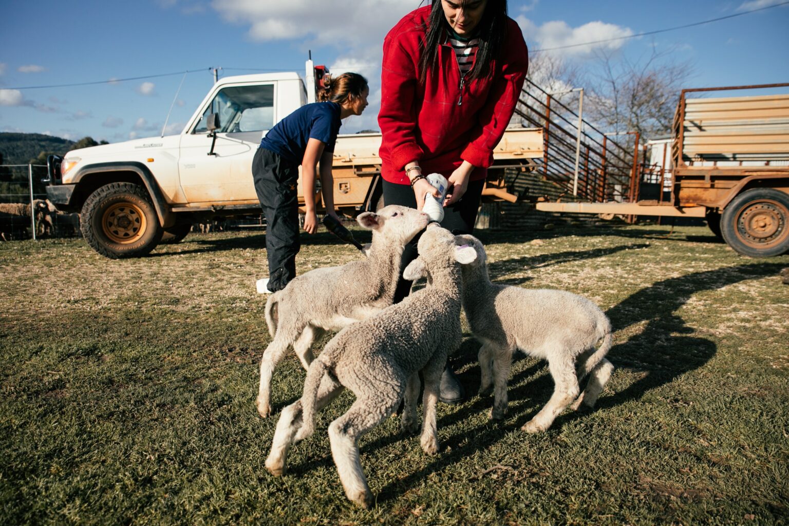 Livestock Agent Salary