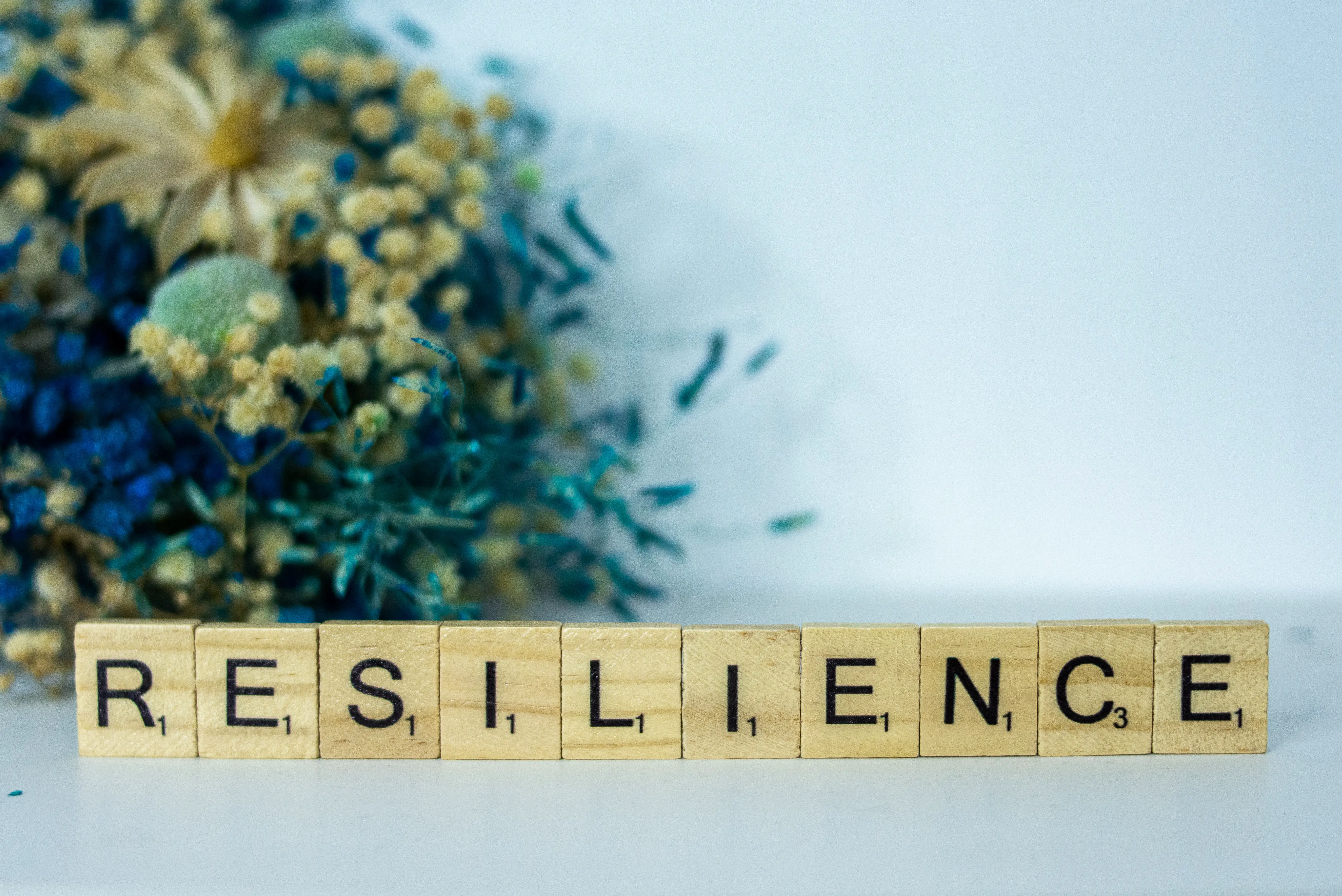 Examples of Resilience at Work? 