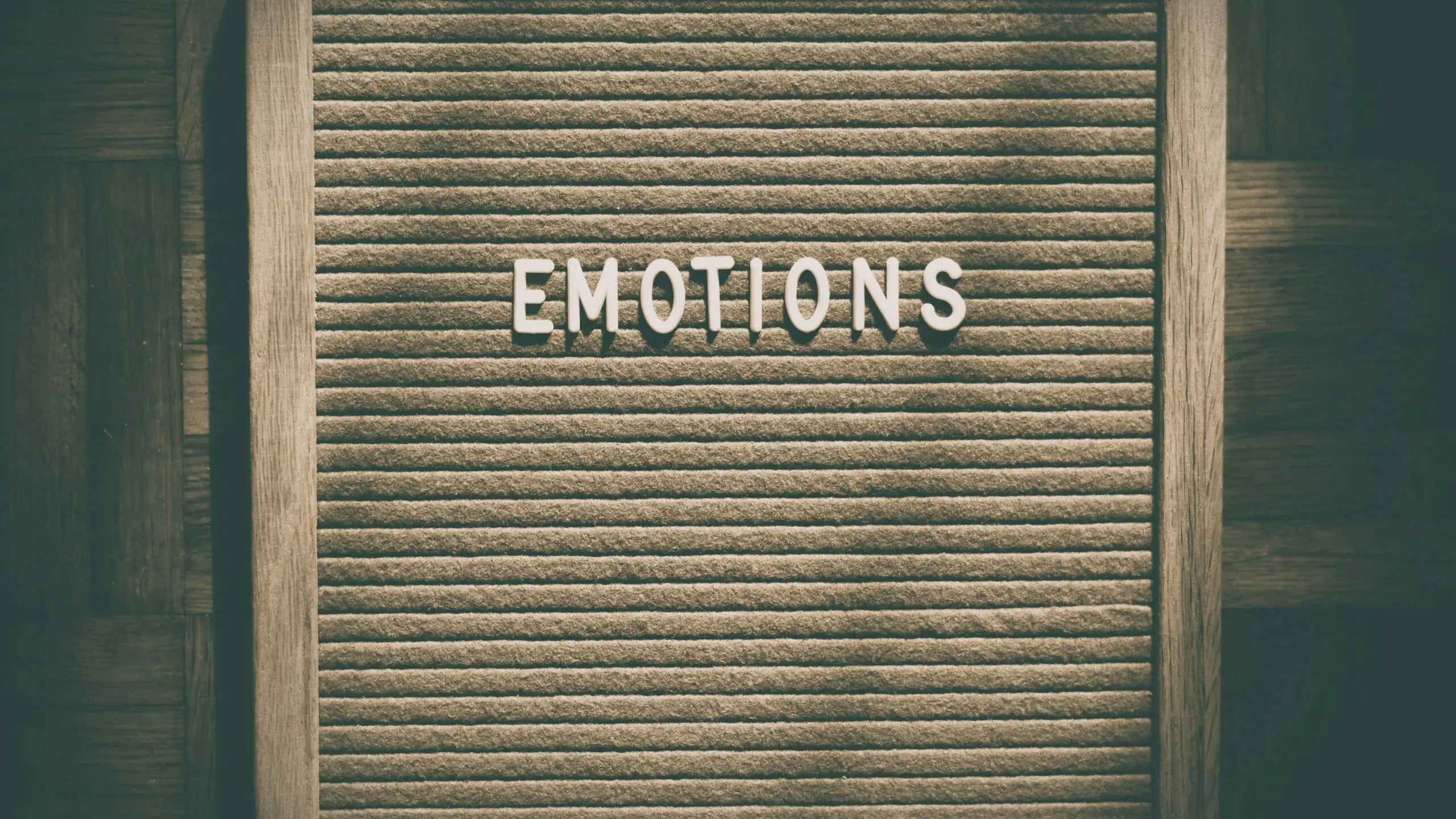 Wheel Of Emotions