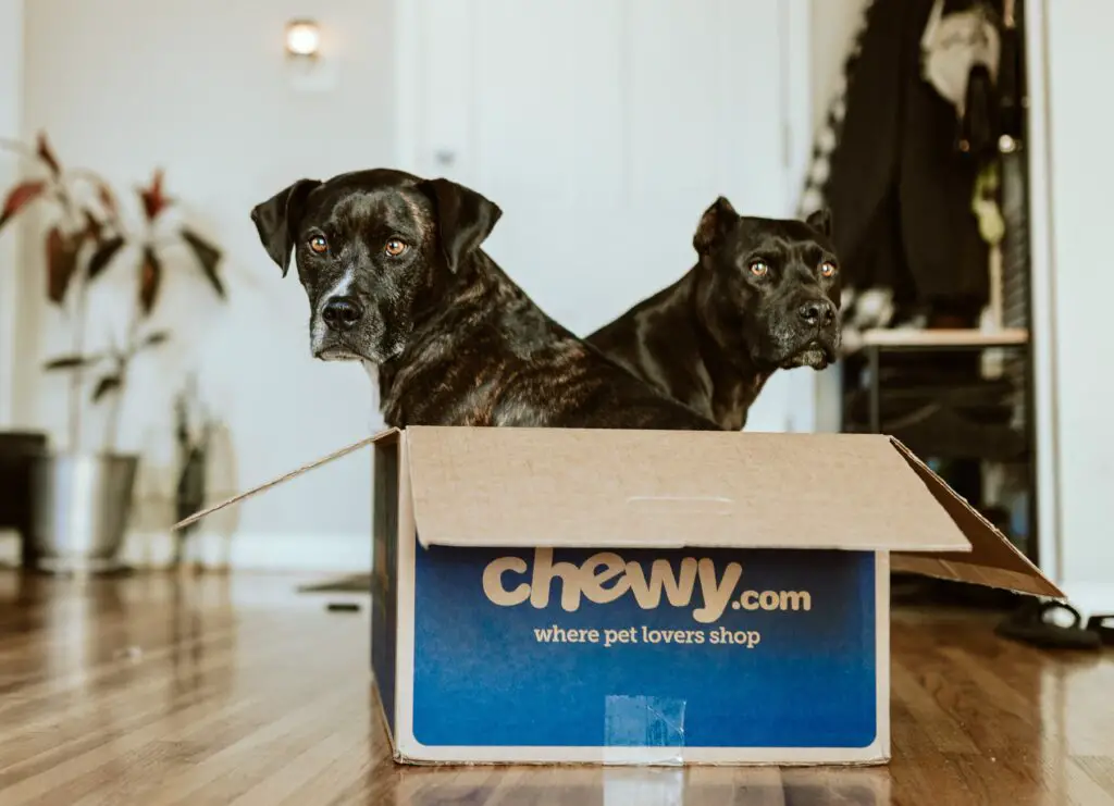 Is Chewy A Good Company To Work For?