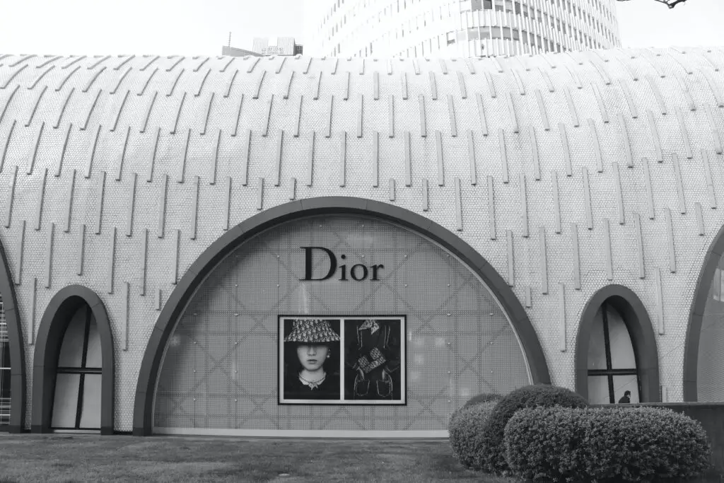 Target Market Of Dior And Marketing Strategy