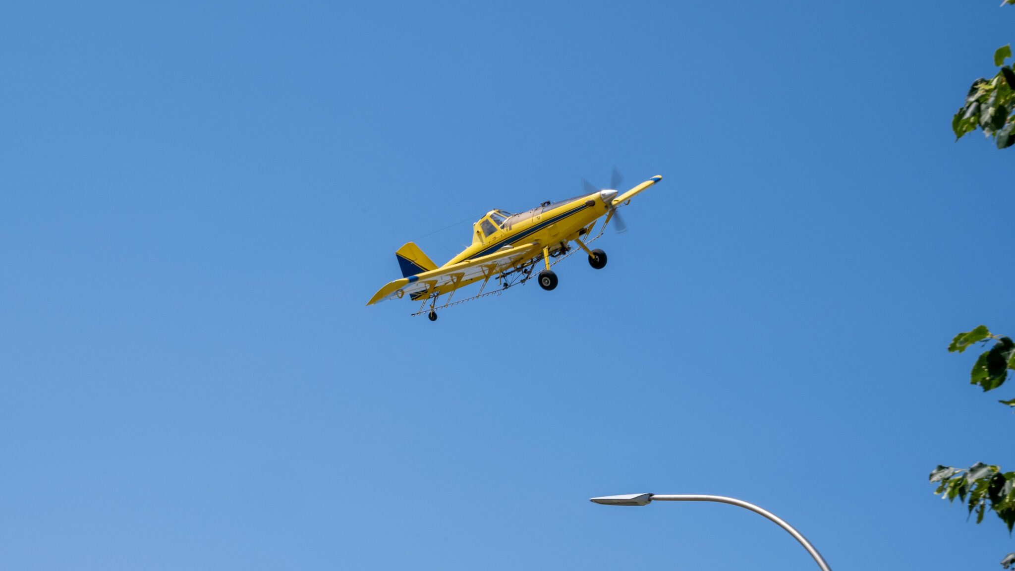 Crop Duster Urban Definition