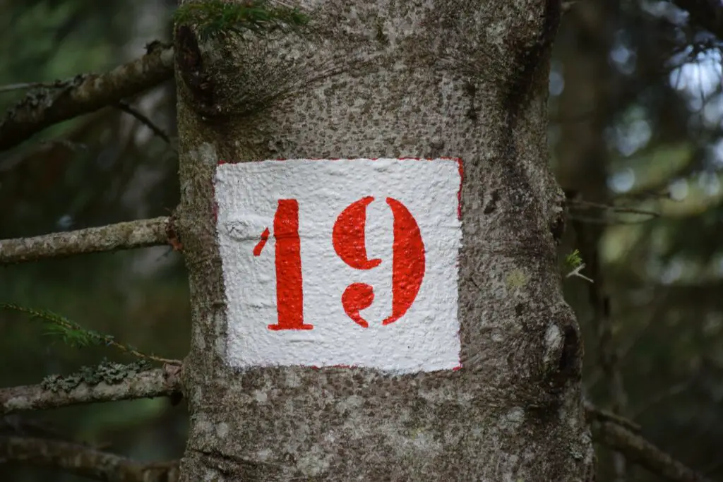 number 19 born personality