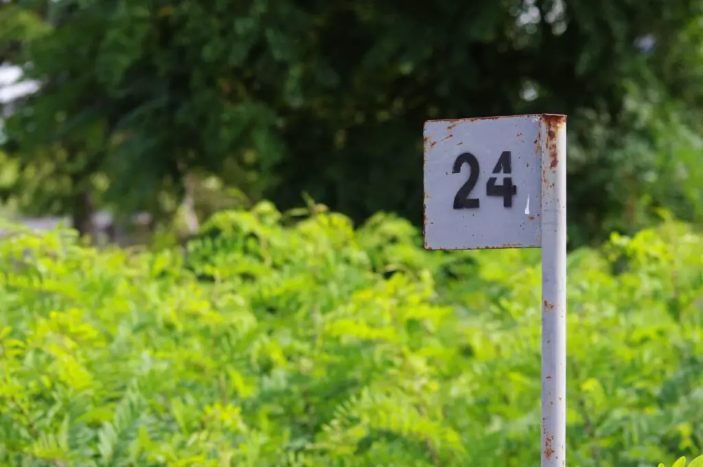 People Born On 24th Personality, Love, Career, And Health